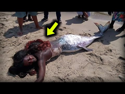 Видео: Моряки увидели это у берега реки Ефрат, только взгляните…