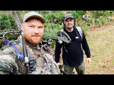 Видео: Охота на  кабана с луком!!! Разведаю новые места￼!!! Или долгожданная прогулка!!!