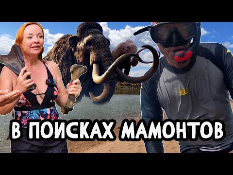 Видео: В ПОИСКАХ МАМОНТОВ | КОСТИ НА ДНЕ РЕКИ