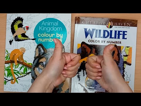 Видео: Мой прогресс в раскрасках по номерам и применяемые материалы