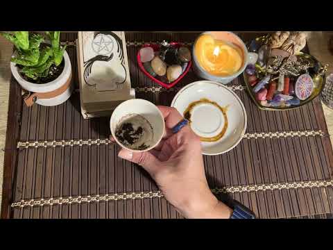 Видео: Чашка дня‼️