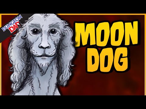 Видео: Собаки-ангелы с человеческими руками? Конечно, почему бы и нет.