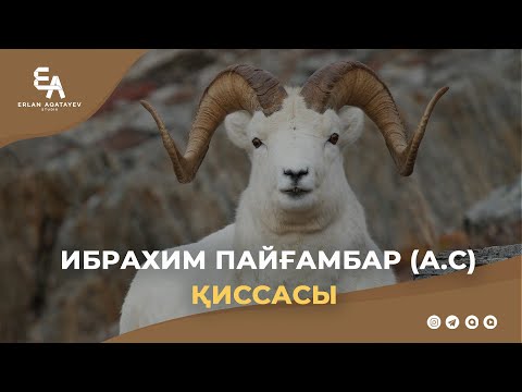 Видео: Ибрахим пайғамбар (а.с) қиссасы | Ұстаз Ерлан Ақатаев ᴴᴰ