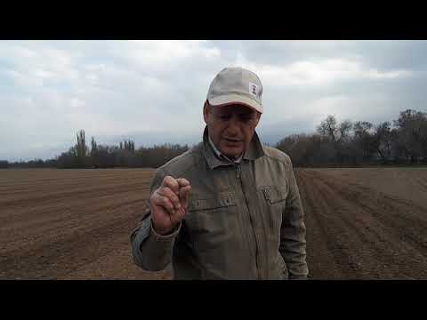 Видео: Предпосевная обработка почвы компактором