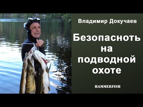 Видео: Безопасность на подводной охоте. Владимир Докучаев