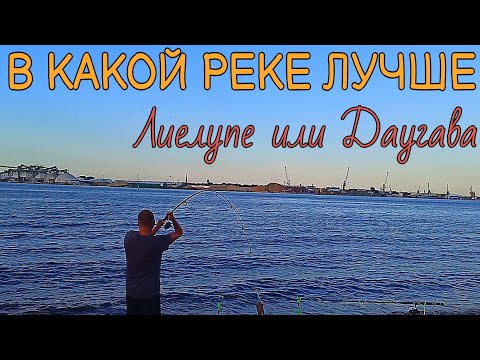 Видео: Рыбалка в июле. Сравниваем две реки / Makšķerēšana jūlijā. Salīdzinām divas upes / Fishing in July