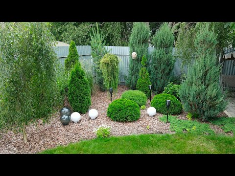 Видео: "В гостях Удачи". Елена Ходаковская