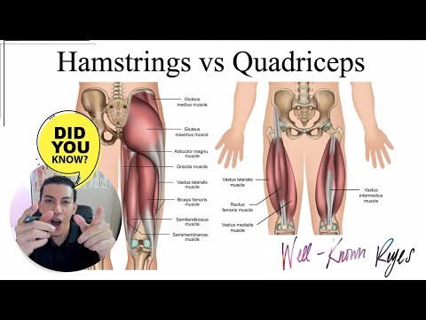 Видео: Обзор MBLEx: как запомнить подколенные сухожилия и квадрицепсы