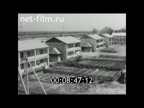 Видео: 1984г. Верхняя Троица. Черемушки. колхоз Мир. совхоз 10-я пятилетка.  Калининская обл.