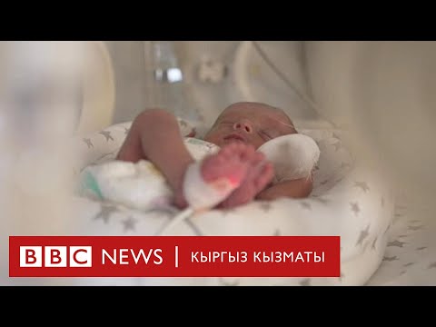 Видео: Суррогат энеликке Борбор Азиялыктар да тартыла баштадыбы? - BBC Kyrgyz