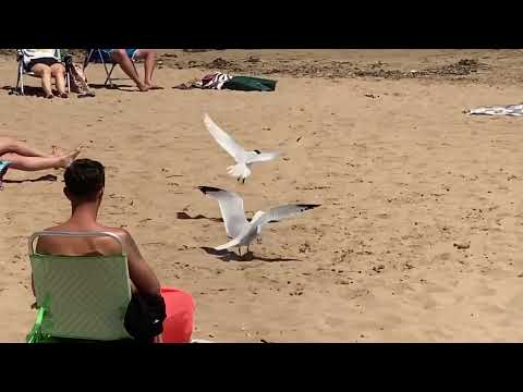 Видео: Испания Ла Мата..первые впечатления…