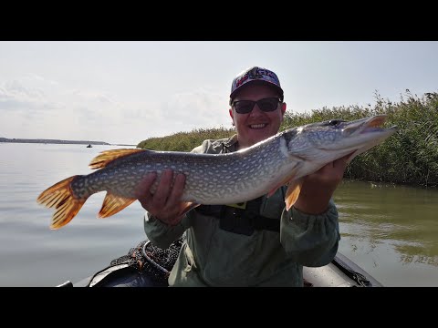 Видео: МНОГО ПОКЛЕВОК, хороший день на Обском водохранилище! Ловля с лодки на джиг щуки и судака