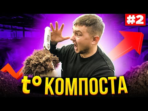 Видео: #2 Подъем На Инкубации. Поливы В Двух Тонной Камере. Выращивание Грибов Шампиньонов