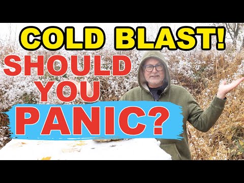 Видео: Пчеловодство: место №1 для утепления улья (это не то, что вы думаете!)