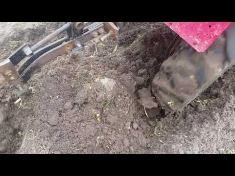 Видео: Посадка картофеля мотоблоком под плуг (4часть). Как работает плуг.