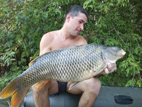 Видео: Подводная охота,Золотая осень