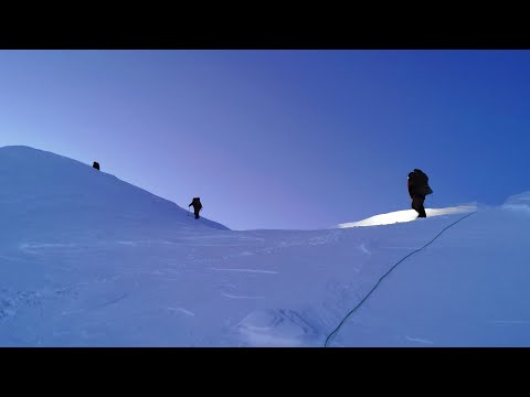 Видео: Зимний снежный барс