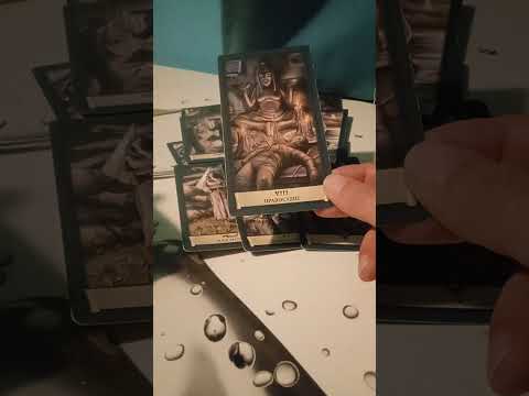 Видео: Кто и что пытались доказать