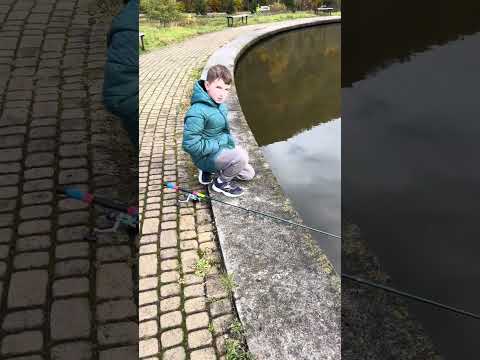 Видео: На рыбалке нужна тишина. Клюет рыба, но не ловиться.