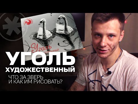 Видео: В ГОЛОВЕ ХУДОЖНИКА. Рисуем медведя углём | #жукографика