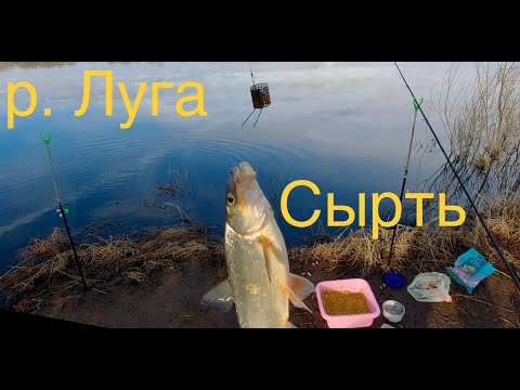 Видео: Сырть весенняя рыбалка.