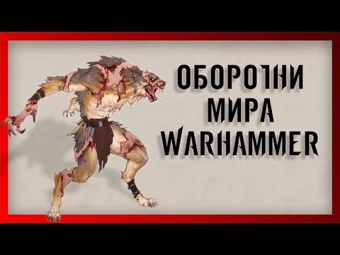 Видео: Оборотни мира Вархаммер (Warhammer FB I Total War)