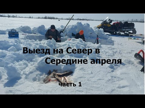 Видео: Выезд на зимовьё