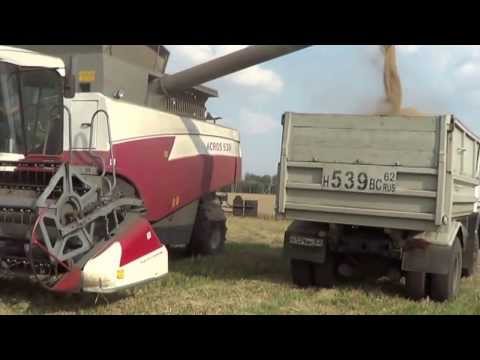 Видео: Один день на уборки ячменя МАЗ-5551 ,АКРОС-530,ПАЛЕССЕ-GS12