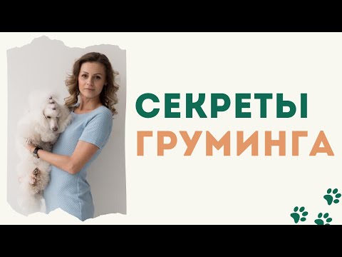 Видео: Прямой эфир 8 ноября "Секреты груминга" от Анны Шишкиной