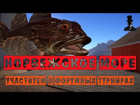 Видео: Норвежское море. Участвуем в форумных турнирах. Русская Рыбалка 4.