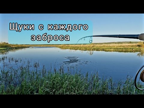 Видео: На эту приманку щуки начали клевать с каждого заброса. Ловля щуки в конце мая.