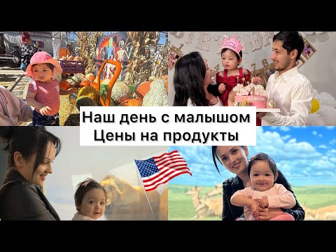 Видео: Сколько стоит еда в Америке? Наш день с годовалым малышом 🇺🇸