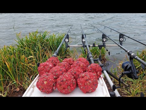 Видео: Ловля карпа в Ноябре.