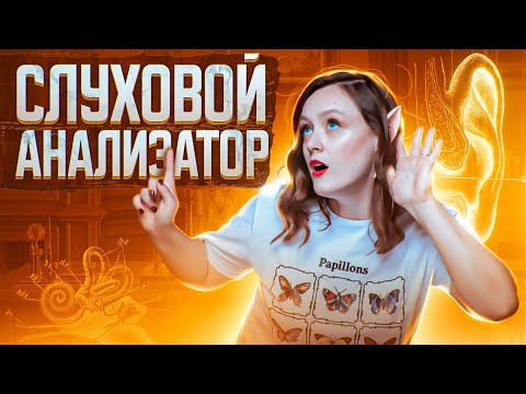Видео: Слуховой анализатор | ЕГЭ-2025 по биологии