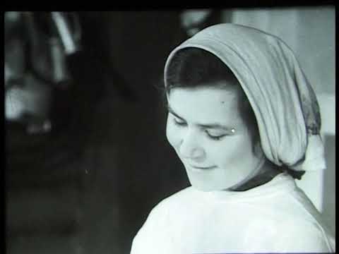 Видео: Киножурнал Советская Карелия 1955 Февраль