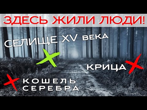 Видео: КОШЕЛЬ СЕРЕБРЯНЫХ МОНЕТ НА СЕЛИЩЕ ☾☼ Орал на весь лес от находки!