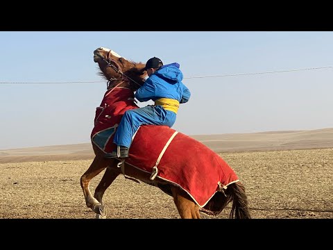 Видео: Хөдөө явсан нь😅😅😅