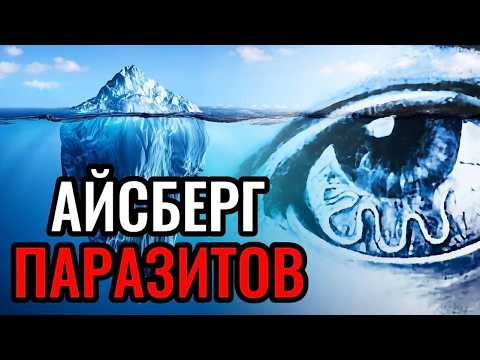 Видео: Айсберг ПАРАЗИТОВ