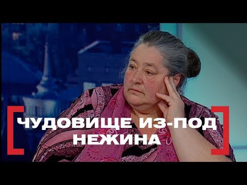 Видео: Чудовище из-под Нежина. Касается каждого, эфир от 10.04.2018