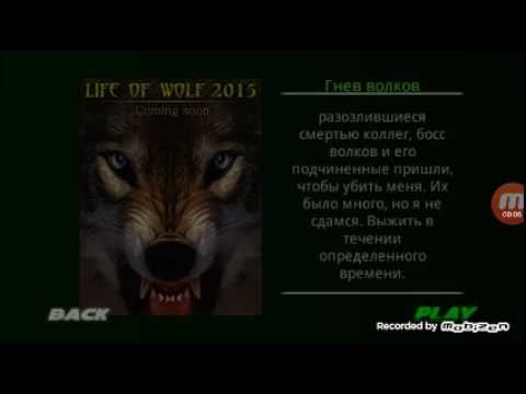 Видео: LIFE OF BLACK TIGER #2 Гнев волков и новое начало с тигрицей...