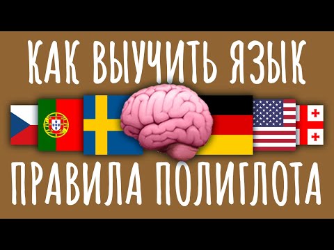 Видео: Как ЛЕГКО выучить ЛЮБОЙ язык / #ТЕДсаммари