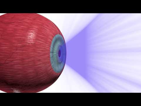 Видео: ГЛАЗ КАК ОПТИЧЕСКАЯ СИСТЕМА