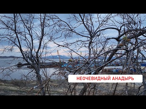 Видео: Неочевидный Анадырь