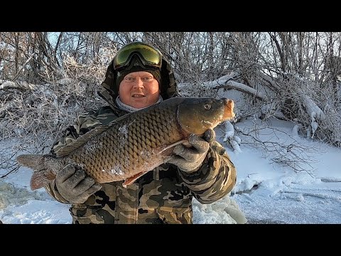 Видео: РЫБАЛКА НА ХАПУГИ и ПРОВЕРКА СЕТЕЙ В -35!!! ЩУКА,САЗАН,ЛЕЩ!!!Первая рыбалка 2021!!!