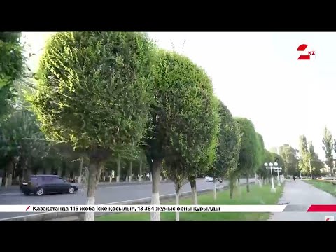 Видео: Тараз таза қала ма? | Таза Қазақстан