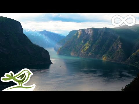 Видео: Прекрасная успокаивающая музыка • Норвежская природа и музыка, исполняемая на скрипке, флейте