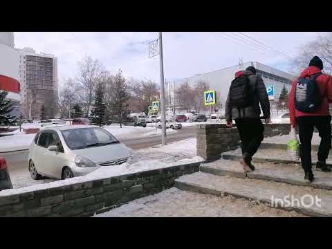 Видео: Барнаул, декабрь 2024г