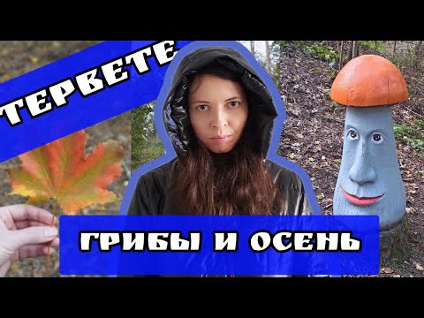 Видео: Золотая осень в парке Тервете - одно из любимых мест в Латвии. Парк восстанавливается после бури