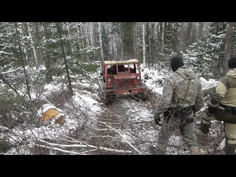 Видео: Вот, блин... Я слышу, что они рядом! Не дают делать дела в лесу...