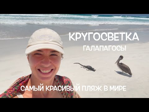 Видео: КРУГОСВЕТКА // ДЕНЬ 119 / ГАЛАПАГОССКИЕ ОСТРОВА, ЭКВАДОР: ЯЩЕРИЦЫ, КОТИКИ, БАКЛАНЫ И ЛУЧШИЙ ПЛЯЖ
